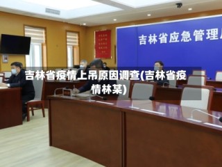 吉林省疫情上吊原因调查(吉林省疫情林某)