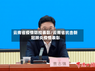 云南省疫情防控表彰/云南省抗击新冠肺炎疫情表彰