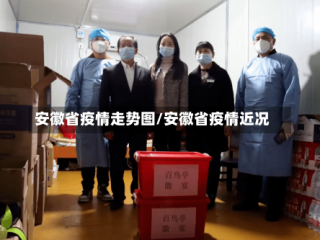 安徽省疫情走势图/安徽省疫情近况