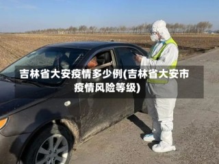 吉林省大安疫情多少例(吉林省大安市疫情风险等级)
