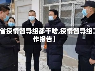 【省疫情督导组都干啥,疫情督导组工作报告】