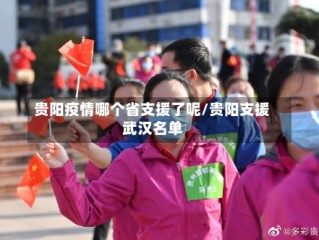 贵阳疫情哪个省支援了呢/贵阳支援武汉名单