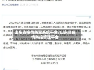 山东省疫情防空系统平台/山东省疫情防控管理平台