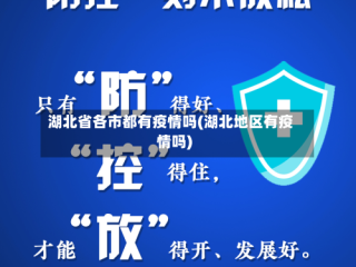 湖北省各市都有疫情吗(湖北地区有疫情吗)