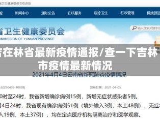 吉在林省最新疫情通报/查一下吉林市疫情最新情况