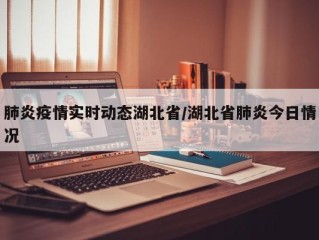 肺炎疫情实时动态湖北省/湖北省肺炎今日情况
