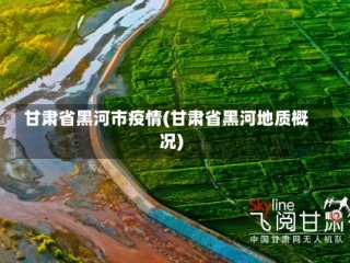 甘肃省黑河市疫情(甘肃省黑河地质概况)