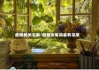 疫情相关文案/疫情文案高级有深度