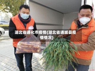 湖北省通化市疫情(湖北省通城县疫情情况)