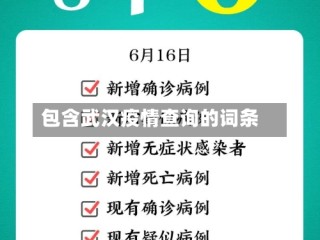 包含武汉疫情查询的词条