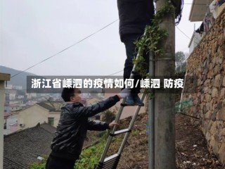 浙江省嵊泗的疫情如何/嵊泗 防疫