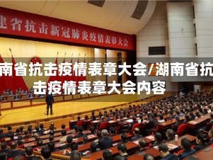 湖南省抗击疫情表章大会/湖南省抗击疫情表章大会内容
