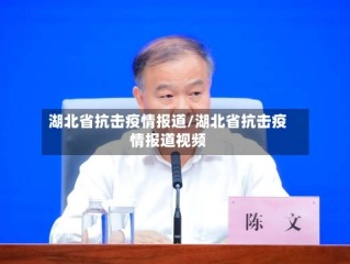 湖北省抗击疫情报道/湖北省抗击疫情报道视频