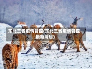 东北三省疫情管控(东北三省疫情管控最新消息)