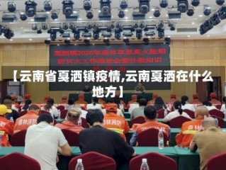 【云南省戛洒镇疫情,云南戛洒在什么地方】