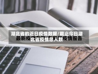 湖北省的近日疫情数据/截止今日湖北省疫情总人数