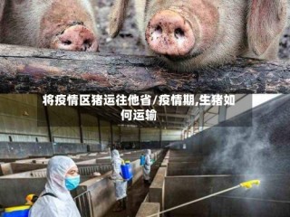 将疫情区猪运往他省/疫情期,生猪如何运输