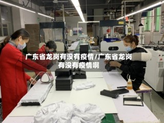 广东省龙岗有没有疫情/广东省龙岗有没有疫情啊