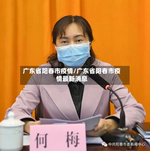 广东省阳春市疫情/广东省阳春市疫情最新消息-第2张图片