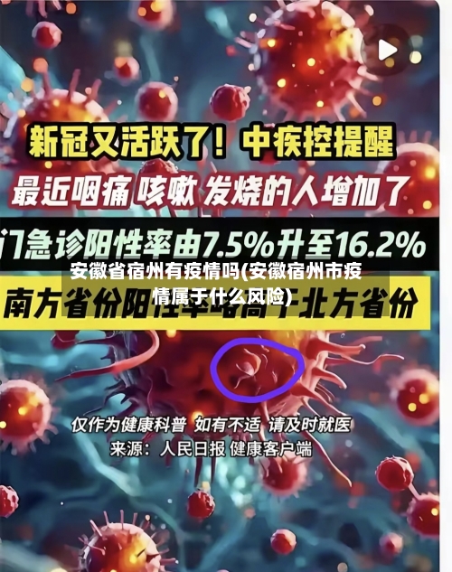 安徽省宿州有疫情吗(安徽宿州市疫情属于什么风险)-第2张图片