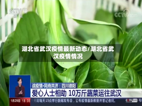 湖北省武汉疫情最新动态/湖北省武汉疫情情况-第1张图片