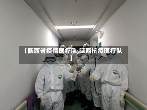 【陕西省疫情医疗队,陕西抗疫医疗队】-第1张图片