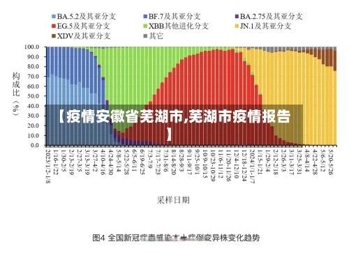 【疫情安徽省芜湖市,芜湖市疫情报告】-第3张图片