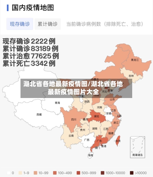 湖北省各地最新疫情图/湖北省各地最新疫情图片大全-第3张图片
