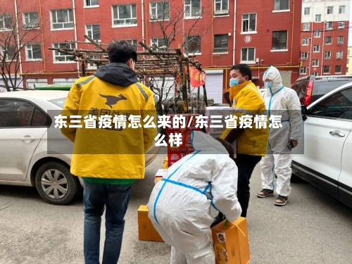 东三省疫情怎么来的/东三省疫情怎么样-第1张图片