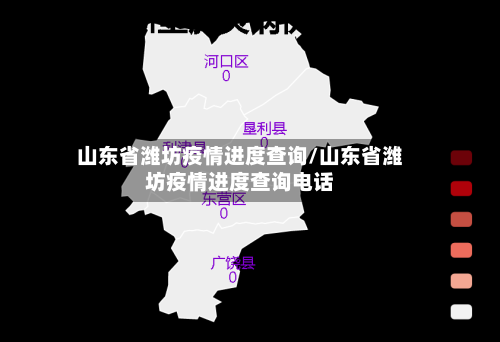 山东省潍坊疫情进度查询/山东省潍坊疫情进度查询电话-第2张图片