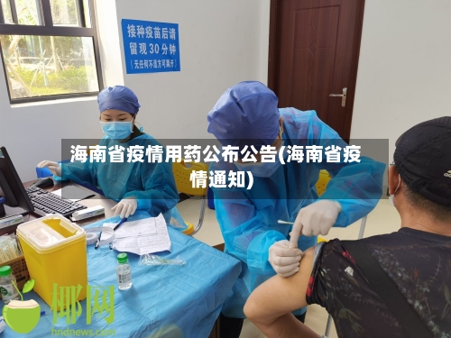 海南省疫情用药公布公告(海南省疫情通知)-第1张图片