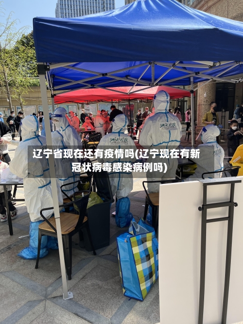辽宁省现在还有疫情吗(辽宁现在有新冠状病毒感染病例吗)-第3张图片