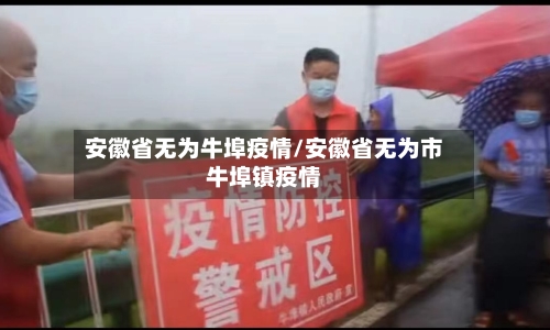 安徽省无为牛埠疫情/安徽省无为市牛埠镇疫情-第2张图片