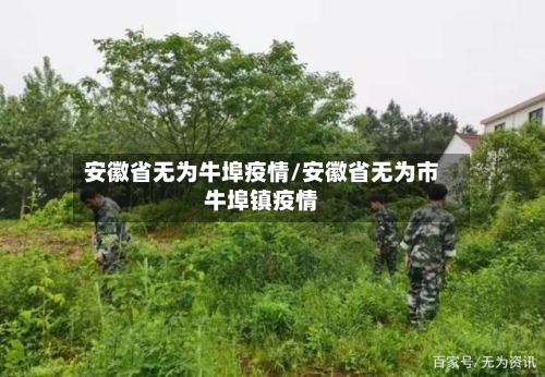 安徽省无为牛埠疫情/安徽省无为市牛埠镇疫情-第1张图片