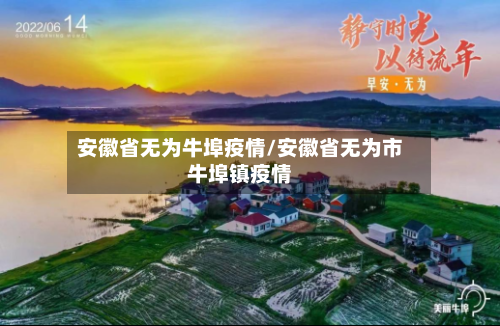 安徽省无为牛埠疫情/安徽省无为市牛埠镇疫情-第3张图片