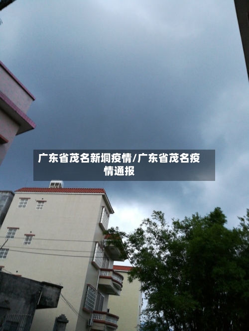 广东省茂名新垌疫情/广东省茂名疫情通报-第2张图片