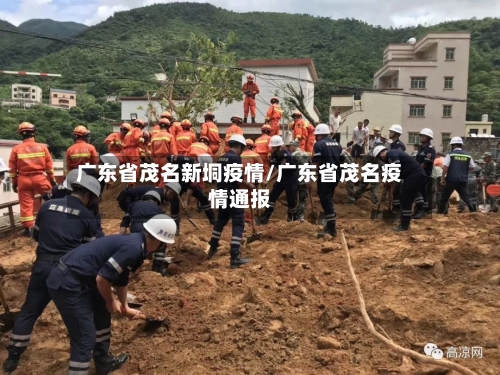 广东省茂名新垌疫情/广东省茂名疫情通报-第1张图片