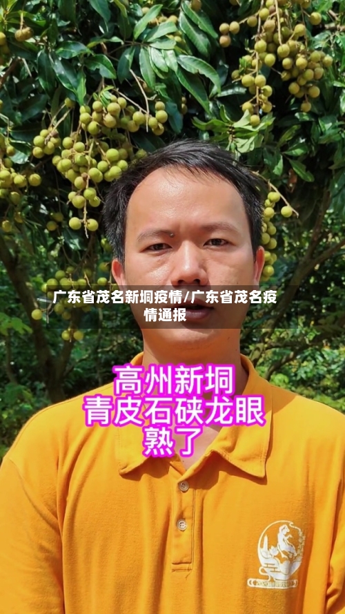 广东省茂名新垌疫情/广东省茂名疫情通报-第3张图片