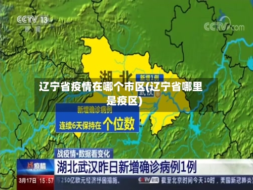 辽宁省疫情在哪个市区(辽宁省哪里是疫区)-第2张图片