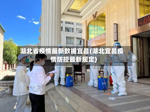 湖北省疫情最新数据宜昌(湖北宜昌疫情防控最新规定)-第1张图片