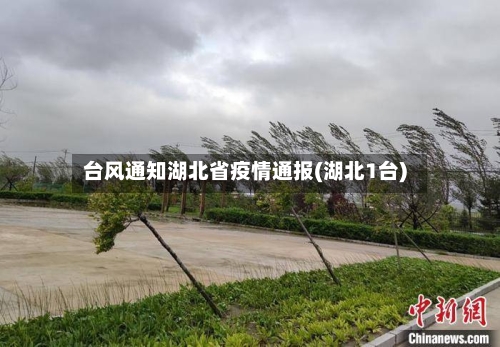 台风通知湖北省疫情通报(湖北1台)-第1张图片