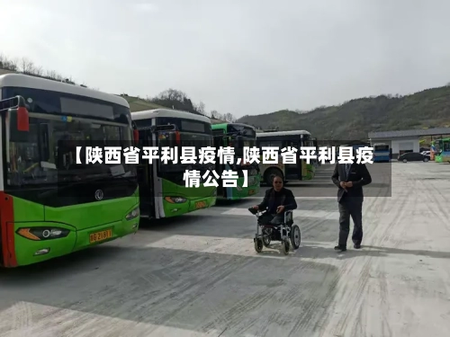 【陕西省平利县疫情,陕西省平利县疫情公告】-第2张图片