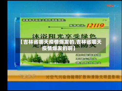 【吉林省哪天疫情爆发的,吉林省哪天疫情爆发的啊】-第2张图片