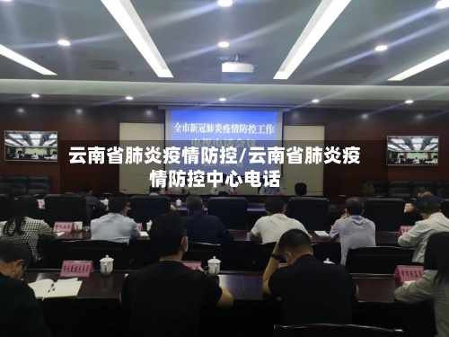 云南省肺炎疫情防控/云南省肺炎疫情防控中心电话-第2张图片