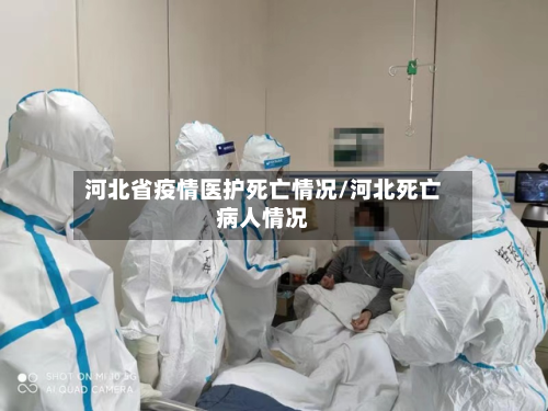 河北省疫情医护死亡情况/河北死亡病人情况-第1张图片
