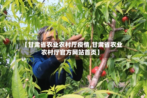 【甘肃省农业农村厅疫情,甘肃省农业农村厅官方网站首页】-第1张图片