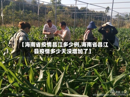 【海南省疫情昌江多少例,海南省昌江县疫情多少天没增加了】-第1张图片