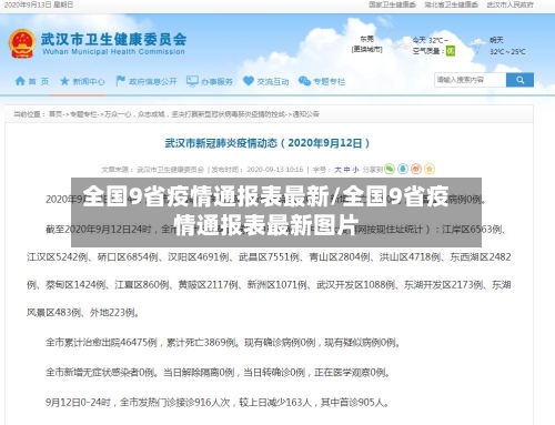 全国9省疫情通报表最新/全国9省疫情通报表最新图片-第1张图片