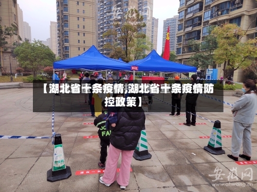 【湖北省十条疫情,湖北省十条疫情防控政策】-第1张图片