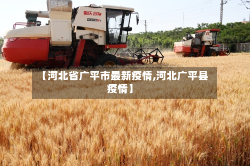 【河北省广平市最新疫情,河北广平县疫情】-第3张图片